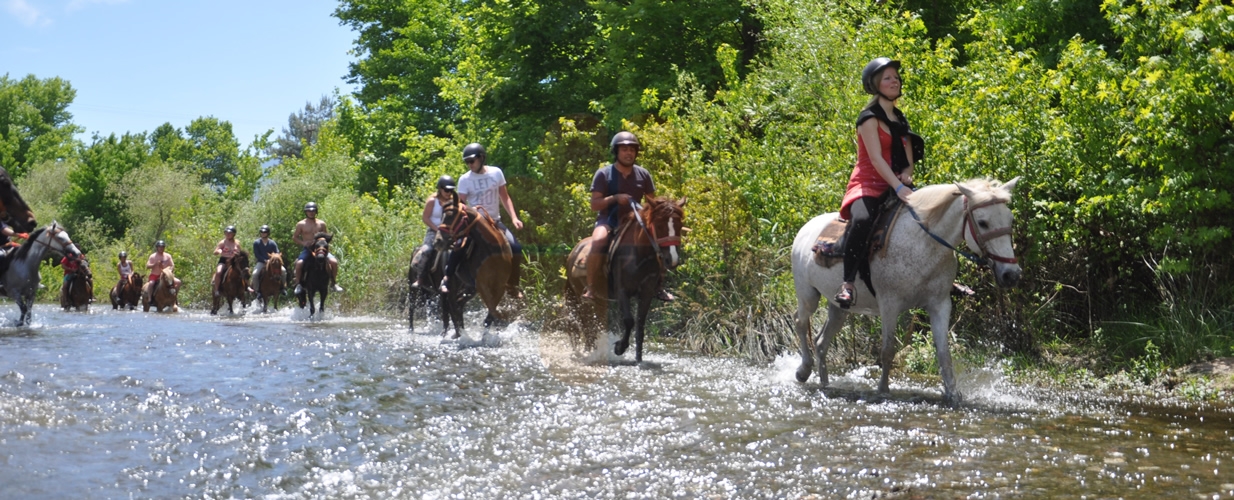 Horse safari in marmaris