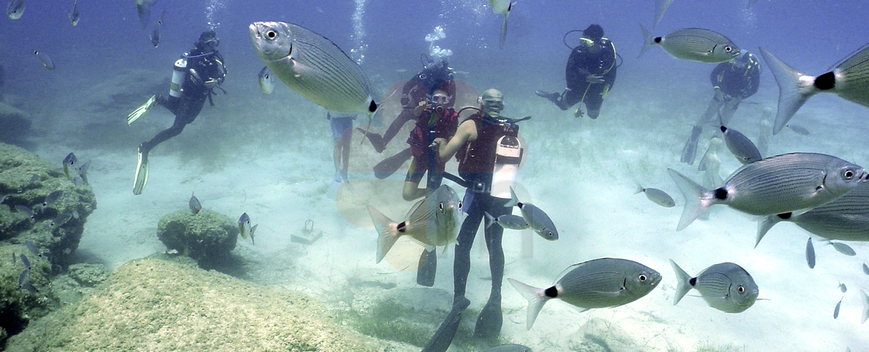 A view from scuba diving in marmaris