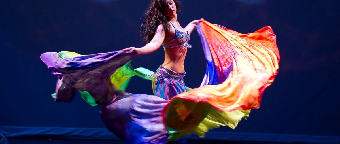 Belly Dancer Costume Belly Dancer Costume