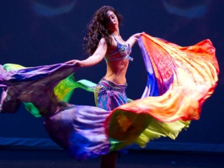 Belly Dancer Costume