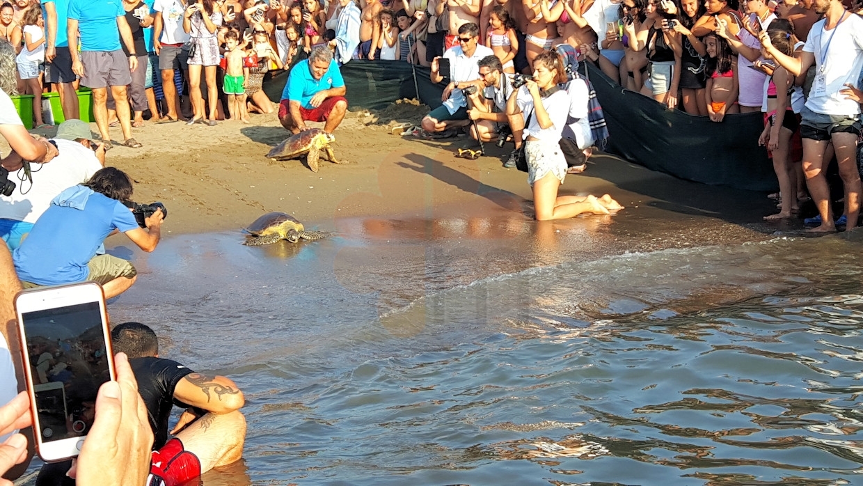 Dalyan Turtle Beach Marmaris Turkey