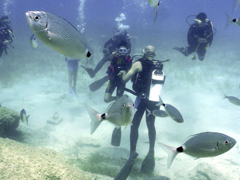 Marmaris Scuba Diving