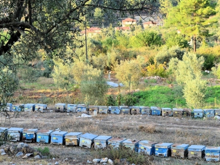 Osmaniye Marmaris