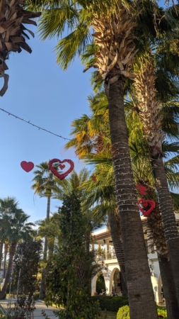 Marmaris Valentine's Day