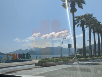 Marmaris Lockdown Diaries