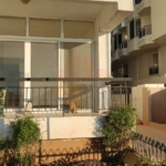 Marmaris cats