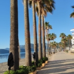 Marmaris waking up
