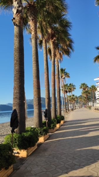 Marmaris waking up