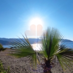 Palms and sun in Marmaris