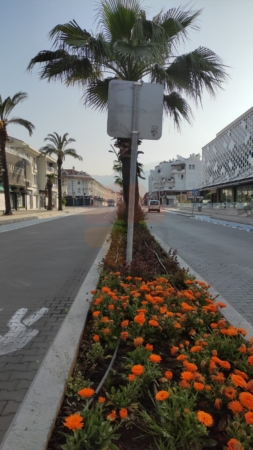 Marmaris Morning Traffic