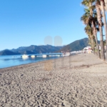 back to the beach