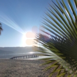sunny place