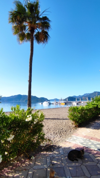 Marmaris Monday Morning