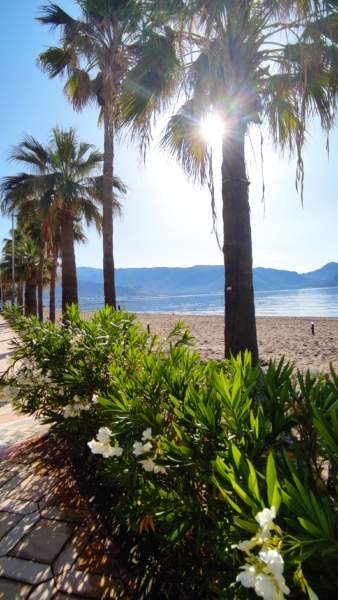 Marmaris Monday Morning