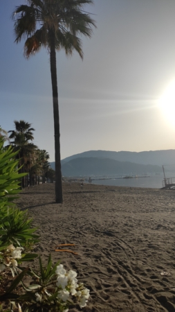 Feel the energy of the mornings in Marmaris with marmarisinfo.com