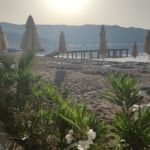 Feel the energy of the mornings in Marmaris with marmarisinfocom