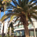 Feel the energy of the mornings in Marmaris with marmarisinfocom