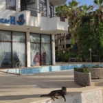 Feel the energy of the mornings in Marmaris with marmarisinfocom