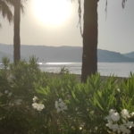 What to do in Marmaris at 7 in the morning