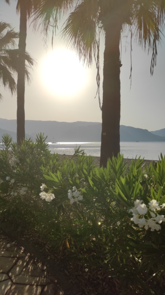 What to do in Marmaris at 7 in the morning? - Marmaris Turkey What to do in Marmaris at 7 in the morning?