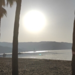 What to do in Marmaris at 7 in the morning