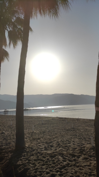 What to do in Marmaris at 7 in the morning? - Marmaris Turkey What to do in Marmaris at 7 in the morning?