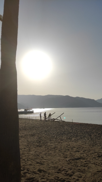 What to do in Marmaris at 7 in the morning? - Marmaris Turkey What to do in Marmaris at 7 in the morning?