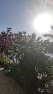 Summer is here in Marmaris