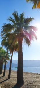 Marmaris morning views in lockdown 2021