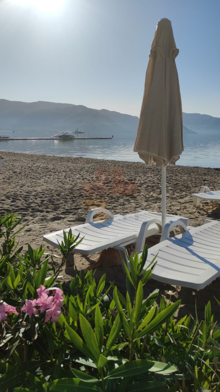 Marmaris Morning Views Photos