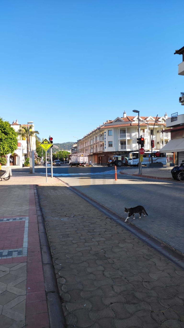 Marmaris Morning Views Photos