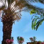 Welcome to the summer in Marmaris