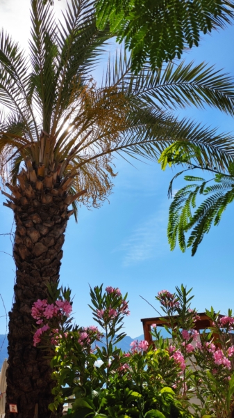 Welcome to the summer in Marmaris - Marmaris Turkey Welcome to the summer in Marmaris