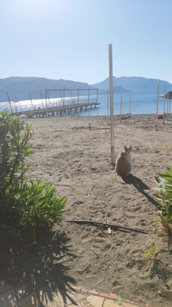 Marmaris Beach Guide June Edition