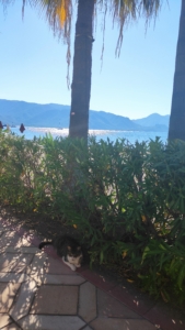Marmaris Beach Guide June Edition