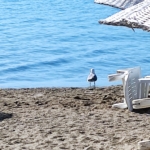 Marmaris Beach Days