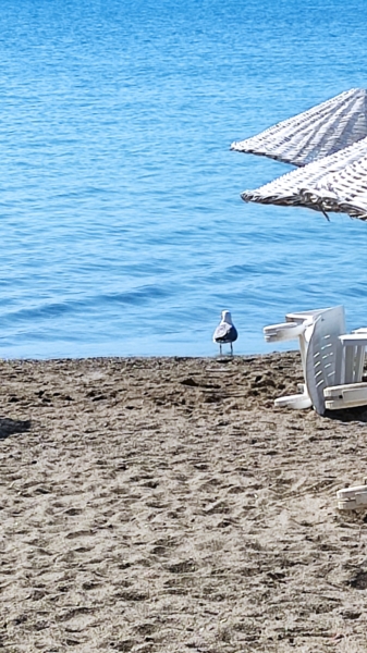 Marmaris beach days