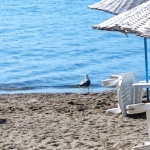 Marmaris Beach Days