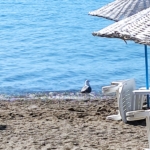 Marmaris Beach Days