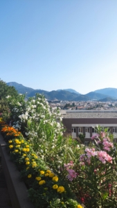 Marmaris Mountain Views