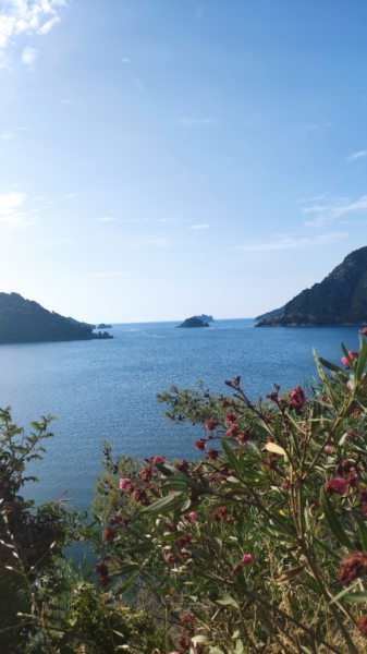 MSC Seaview gorgeously sailing to Marmaris Marmaris Turkey MSC Seaview gorgeously sailing to Marmaris