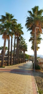 Amazing walks for a little extra beauty in Marmaris