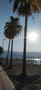 Amazing walks for a little extra beauty in Marmaris