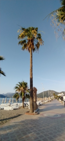 Sunrise of the day and beach vibes in Marmaris