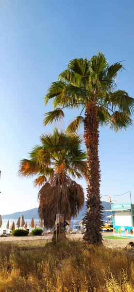 Views across the bay of marmaris