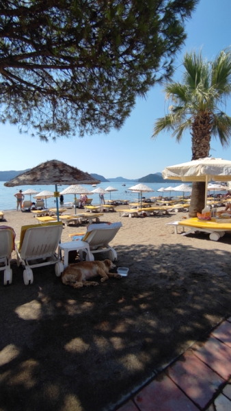 IMG_20210726_104321 - Marmaris Turkey