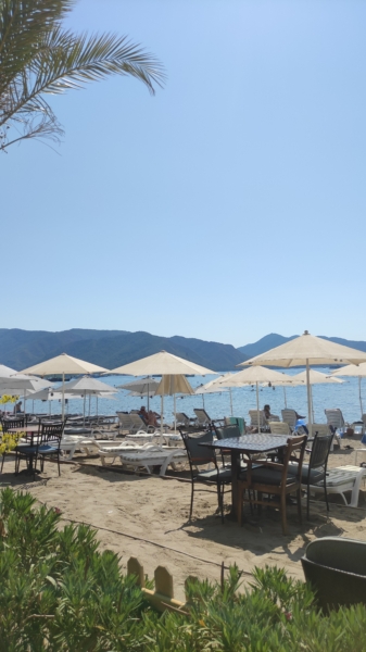IMG_20210726_104533 - Marmaris Turkey