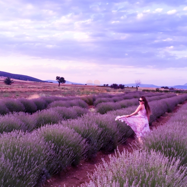Lavender fields - Marmaris Turkey Lavender fields