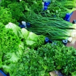 Gorgeous green on Marmaris good markets