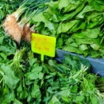 Fresh local ingredients for salad in Marmaris